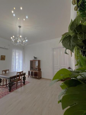 Lovely apartment